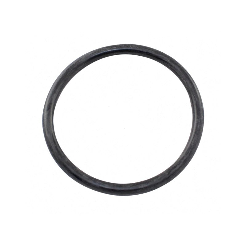 Hayward Chlorinator Cover Gasket