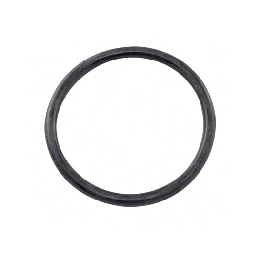 Hayward Chlorinator Cover Gasket