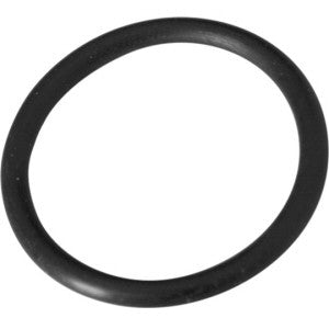Summer Escapes Replacement O-Ring for F2000C Filter Pump Type C Retainer Nut P58045000K01
